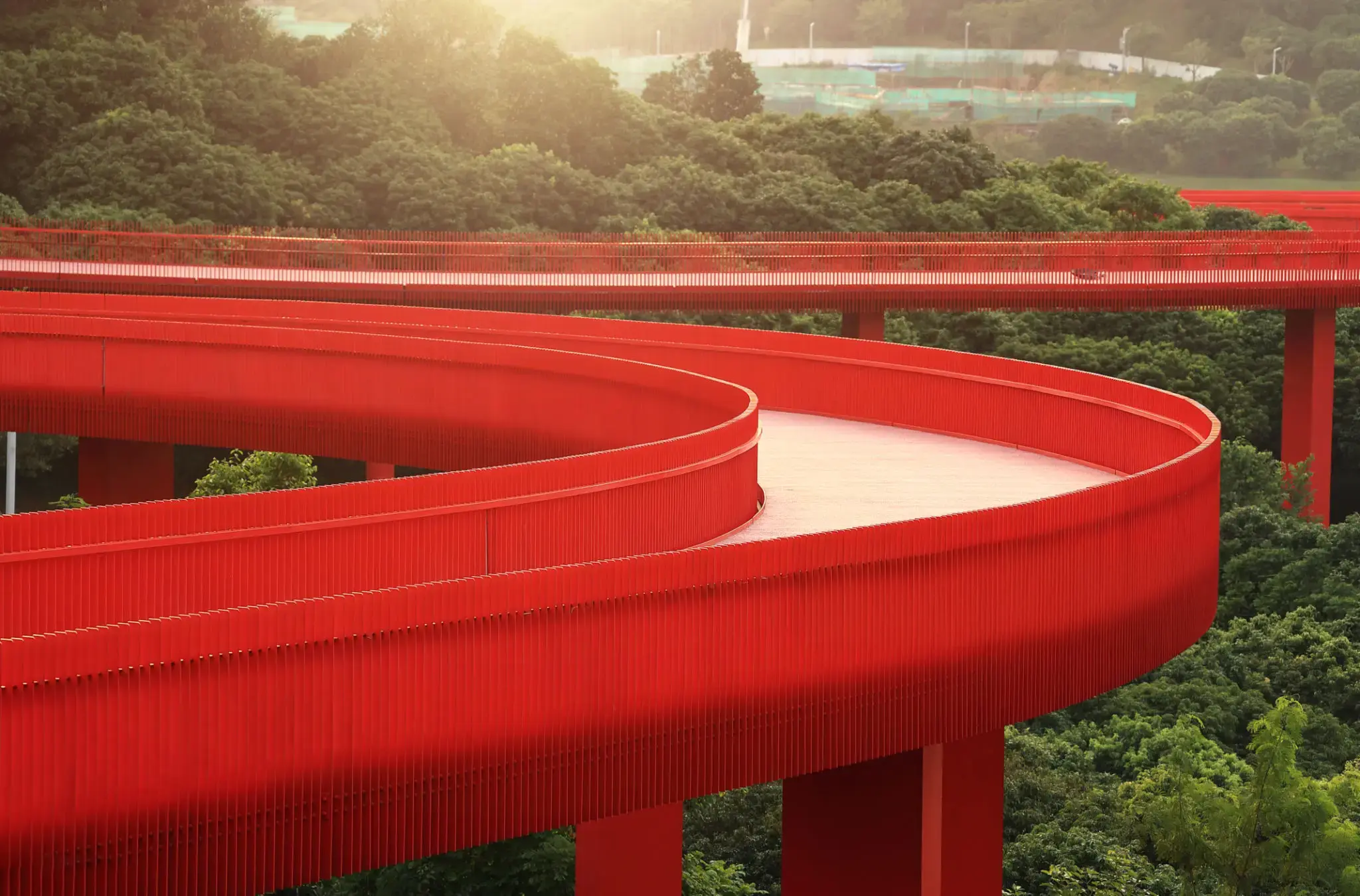 Strada rossa che attraversa un bosco con ampie curve